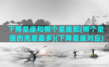 下降星座和哪个星座配(哪个星座的亮星最多)(下降星座对应)