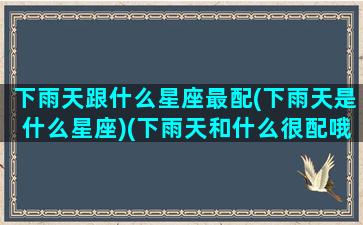 下雨天跟什么星座最配(下雨天是什么星座)(下雨天和什么很配哦)