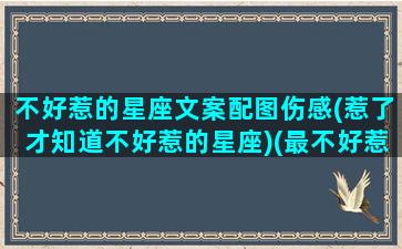 不好惹的星座文案配图伤感(惹了才知道不好惹的星座)(最不好惹的12星座)