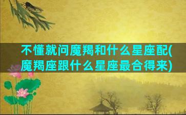 不懂就问魔羯和什么星座配(魔羯座跟什么星座最合得来)