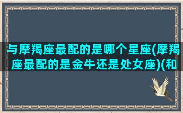 与摩羯座最配的是哪个星座(摩羯座最配的是金牛还是处女座)(和摩羯座绝配的星座)