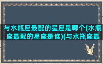 与水瓶座最配的星座是哪个(水瓶座最配的星座是谁)(与水瓶座最配的星座配对)