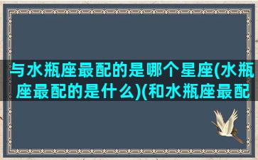 与水瓶座最配的是哪个星座(水瓶座最配的是什么)(和水瓶座最配的)