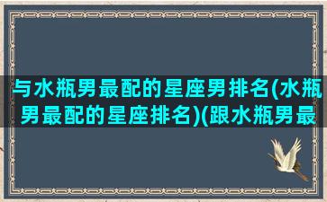 与水瓶男最配的星座男排名(水瓶男最配的星座排名)(跟水瓶男最配的星座)