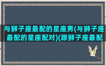 与狮子座最配的星座男(与狮子座最配的星座配对)(跟狮子座最配的星座配对)