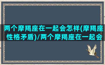 两个摩羯座在一起会怎样(摩羯座性格矛盾)/两个摩羯座在一起会怎样(摩羯座性格矛盾)-我的网站