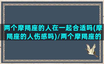 两个摩羯座的人在一起合适吗(摩羯座的人伤感吗)/两个摩羯座的人在一起合适吗(摩羯座的人伤感吗)-我的网站