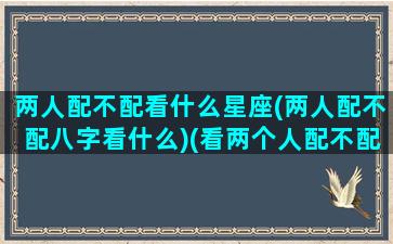 两人配不配看什么星座(两人配不配八字看什么)(看两个人配不配看纳音还是生肖)