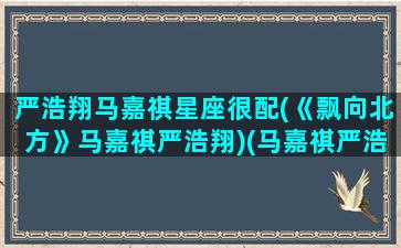 严浩翔马嘉祺星座很配(《飘向北方》马嘉祺严浩翔)(马嘉祺严浩翔第一次唱飘向北方是啥节目)