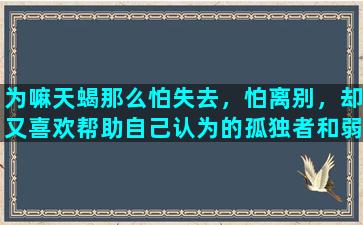 为嘛天蝎那么怕失去，怕离别，却又喜欢帮助自己认为的孤独者和弱者，从而产生羁绊呢/为嘛天蝎那么怕失去，怕离别，却又喜欢帮助自己认为的孤独者和弱者，从而产生羁绊呢-