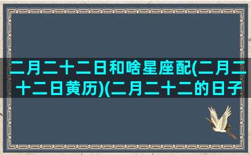 二月二十二日和啥星座配(二月二十二日黄历)(二月二十二的日子是好日子吗)