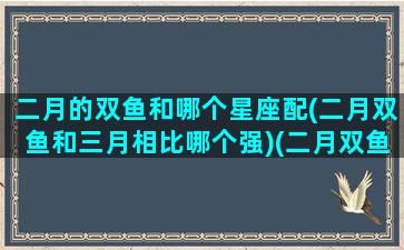 二月的双鱼和哪个星座配(二月双鱼和三月相比哪个强)(二月双鱼座是什么性格)