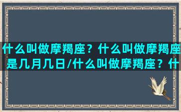 什么叫做摩羯座？什么叫做摩羯座是几月几日/什么叫做摩羯座？什么叫做摩羯座是几月几日-我的网站