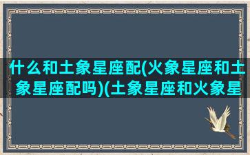 什么和土象星座配(火象星座和土象星座配吗)(土象星座和火象星座在一起)