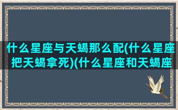 什么星座与天蝎那么配(什么星座把天蝎拿死)(什么星座和天蝎座搭配最好)