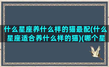 什么星座养什么样的猫最配(什么星座适合养什么样的猫)(哪个星座最适合养猫咪)