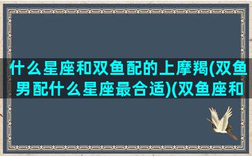 什么星座和双鱼配的上摩羯(双鱼男配什么星座最合适)(双鱼座和摩羯座适合什么关系)