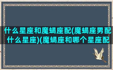 什么星座和魔蝎座配(魔蝎座男配什么星座)(魔蝎座和哪个星座配)