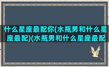 什么星座最配你(水瓶男和什么星座最配)(水瓶男和什么星座最配对指数)