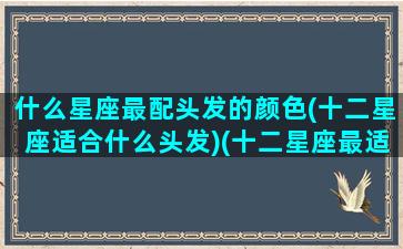 什么星座最配头发的颜色(十二星座适合什么头发)(十二星座最适合什么样的头发)