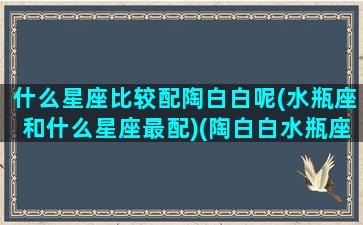 什么星座比较配陶白白呢(水瓶座和什么星座最配)(陶白白水瓶座什么意思)