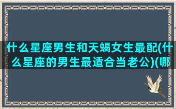 什么星座男生和天蝎女生最配(什么星座的男生最适合当老公)(哪个星座和天蝎男最配)