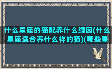 什么星座的猫配养什么缅因(什么星座适合养什么样的猫)(哪些星座最适合养猫)