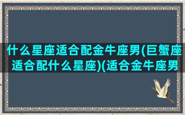 什么星座适合配金牛座男(巨蟹座适合配什么星座)(适合金牛座男的星座配对)