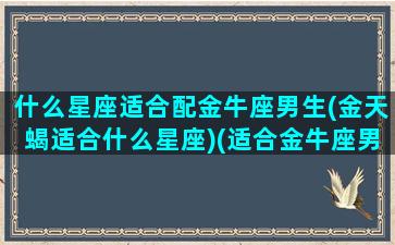 什么星座适合配金牛座男生(金天蝎适合什么星座)(适合金牛座男的星座配对)