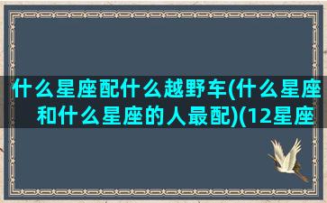 什么星座配什么越野车(什么星座和什么星座的人最配)(12星座配什么车跑车)