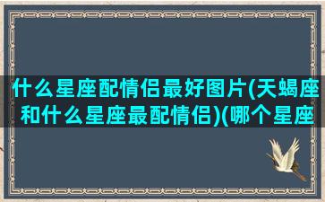 什么星座配情侣最好图片(天蝎座和什么星座最配情侣)(哪个星座配天蝎)