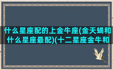 什么星座配的上金牛座(金天蝎和什么星座最配)(十二星座金牛和天蝎)