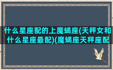 什么星座配的上魔蝎座(天秤女和什么星座最配)(魔蝎座天秤座配吗)