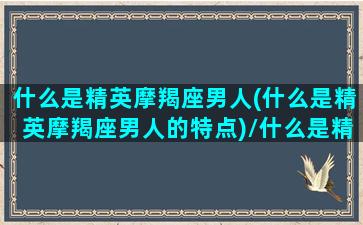 什么是精英摩羯座男人(什么是精英摩羯座男人的特点)/什么是精英摩羯座男人(什么是精英摩羯座男人的特点)-我的网站