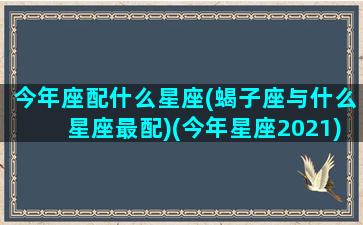 今年座配什么星座(蝎子座与什么星座最配)(今年星座2021)