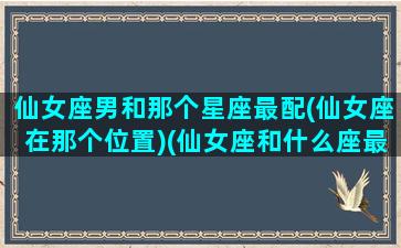 仙女座男和那个星座最配(仙女座在那个位置)(仙女座和什么座最配对)