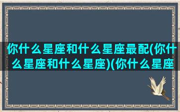 你什么星座和什么星座最配(你什么星座和什么星座)(你什么星座你应该是谁)