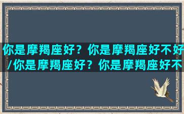 你是摩羯座好？你是摩羯座好不好/你是摩羯座好？你是摩羯座好不好-我的网站