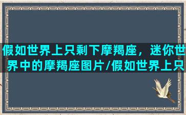 假如世界上只剩下摩羯座，迷你世界中的摩羯座图片/假如世界上只剩下摩羯座，迷你世界中的摩羯座图片-我的网站