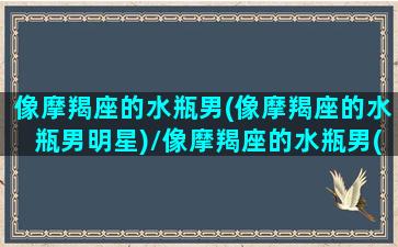 像摩羯座的水瓶男(像摩羯座的水瓶男明星)/像摩羯座的水瓶男(像摩羯座的水瓶男明星)-我的网站