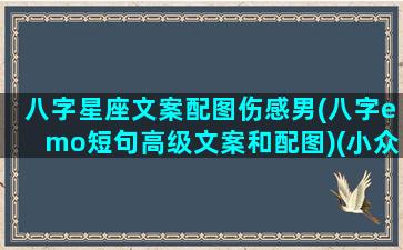 八字星座文案配图伤感男(八字emo短句高级文案和配图)(小众却惊艳的八字文案)