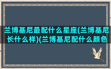 兰博基尼最配什么星座(兰博基尼长什么样)(兰博基尼配什么颜色最好看)