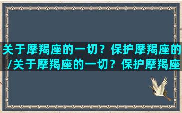 关于摩羯座的一切？保护摩羯座的/关于摩羯座的一切？保护摩羯座的-我的网站