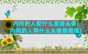 内向的人配什么星座头像(内向的人用什么头像做微信)