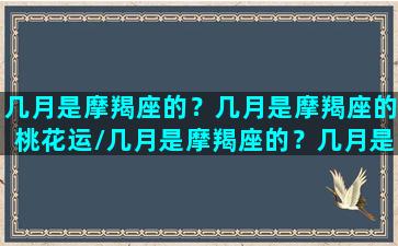 几月是摩羯座的？几月是摩羯座的桃花运/几月是摩羯座的？几月是摩羯座的桃花运-我的网站