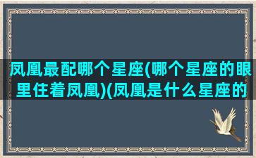 凤凰最配哪个星座(哪个星座的眼里住着凤凰)(凤凰是什么星座的守护神兽)