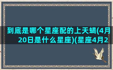 到底是哪个星座配的上天蝎(4月20日是什么星座)(星座4月20号)