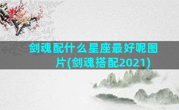 剑魂配什么星座最好呢图片(剑魂搭配2021)