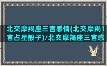 北交摩羯座三宫感情(北交摩羯1宫占星骰子)/北交摩羯座三宫感情(北交摩羯1宫占星骰子)-我的网站