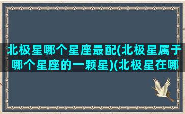 北极星哪个星座最配(北极星属于哪个星座的一颗星)(北极星在哪个星座中)